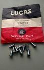 554983 Lucas Nos Pack Of