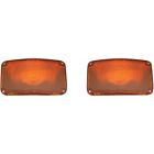 57-130770-1 Danchuk Chevy Parking Light 57-130770-1 Danchuk Chevy Parking Light