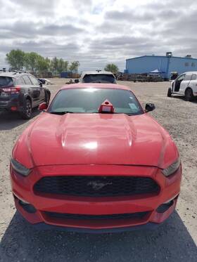 663.fd1i17 Ford Mustang 2017 Fuse Box Cabin 5297670
