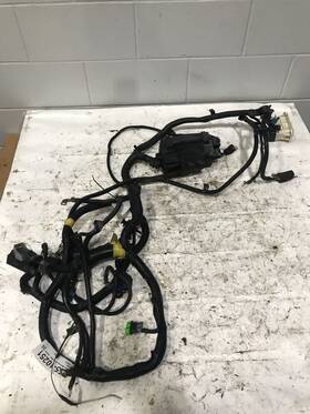 2401780004 Freightliner 2015 Cascadia Chassis Wiring Harness 555-10251