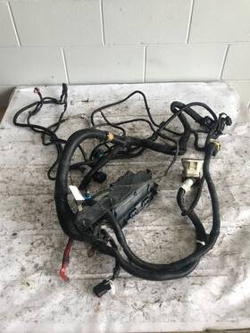 Jw2282engine Freightliner 2018 Cascadia Chassis Wiring Harness 555-10208