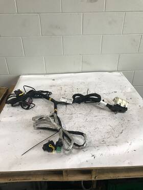 Lw9540engine Freightliner 2020 Cascadia Chassis Wiring Harness 555-10160