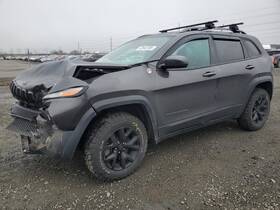 663.am8517 Jeep Cherokee 2017 Fuse Box Cabin 5408130 663.am8517 Jeep Cherokee 2017 Fuse Box Cabin 5408130