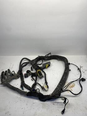 D921008101001 Peterbilt 2016 579 Chassis Wiring Harness 555-10397