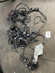 2019 Ford Fusion Hybrid Se 2.0L Interior Body Wire Harness Oem+. Fixed Price $442.88.