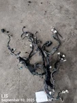 Engine Wire Harness Oem 2018 Toyota C-hr. Fixed Price $293.00.