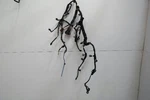2015 Subaru Forester Engine Wire Harness 2.5L Awd. Fixed Price $252.00.