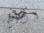Engine Wire Harness Wiring 1.6L A/t 2015 Nissan Versa HO-87N. Fixed Price $141.55.