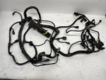 2017 Detroit Diesel DD15 Engine Wiring Harness A4721505120 (514-12833). Fixed Price $450.00.