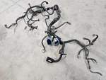 Used 2008 Silverado Diesel Lmm Engine Wire Harness 6.6 Ship Los Angeles. Fixed Price $1075.92.