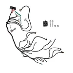 Stand Alone Wire Harness For Vortec Engines 4.8, 5.3, 6.0 4L80E Chevrolet. Fixed Price $79.81.