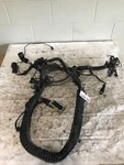 2015 Peterbilt 389 Chassis Wiring Harness P929360001 (555-10273). Fixed Price $618.00.