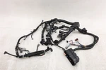 Oem Engine Wiring Harness 240115HA0A For Nissan Rogue 2.5L 2014-2017. Fixed Price $698.85.