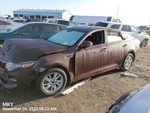 Dash Wire Harness Oem 2016 Optimakia. Fixed Price $275.00.