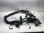 2018 Peterbilt 389 Chassis Wiring Harness D92-6212-001 (555-10285). Fixed Price $515.00.