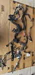 2017-2022 Toyota Prius Prime 1.8L Engine Wire Wiring Harness. Fixed Price $200.00.