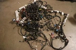 2018 Bmw X5 XDRIVE35I F15 Body Main Wire Wiring Harness Oem. Fixed Price $294.00.