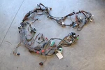 2013 Freightliner Cascadia 125 Dashboard Main Wire Wiring Harness Oem. Fixed Price $855.00.