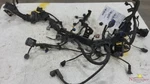 2018 Kia Stinger Engine Wire Harness 10-17,2.0L,8SPD Auto,rwd,base. Fixed Price $285.00.