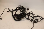 08-17 Freightliner Cascadia Detroit DD15 Engine Complete Wiring Harness Oem. Fixed Price $562.50.