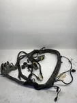 2016 Peterbilt 579 Chassis Wiring Harness D921008101001 (555-10397). Fixed Price $650.00.