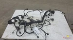 2018 Kia Stinger Engine Wire Harness 11-17,2.0L,8SPD Auto,awd. Fixed Price $285.00.
