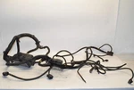 2013 Freightliner Cascadia Chassis Wiring Harness A06-56248-007 (555-10028). Fixed Price $297.00.