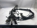 2019 Peterbilt 389 Chassis Wiring Harness D92-6212-001 (555-10288). Fixed Price $515.00.