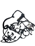 2014 Detroit Diesel DD13 Engine Wiring Harness A4711509220 (514-12776). Fixed Price $500.00.