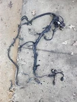 2005 Used Genuine Cummins Isc Isl Engine Wiring Harness 3970309 Diesel 8.3 8.9. Fixed Price $450.00.