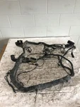 2018 Peterbilt 389 Chassis Wiring Harness D92-6212-001 (555-10295). Fixed Price $515.00.