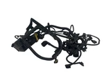 2016 Freightliner Cascadia Chassis Wiring Harness A4721509233 (555-10037). Fixed Price $243.00.