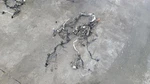 BC3T-12B637-BB F250SD Powerstroke Engine Wiring Harness. Fixed Price $355.50.