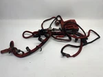 2001 Cummins Isx Engine Wiring Harness 3681556 (514-12879). Fixed Price $400.00.