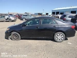 Dash Wire Harness Oem 2010 Toyota Corolla 821410ZY40. Fixed Price $592.00.