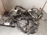 Engine Wire Harness LX6T-14305 From 2021 Ford Escape 2.0L Turbo At Awd 10066194. Fixed Price $271.69.