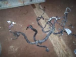 15 Nissan Versa 1.6 Engine Wire Harness Our Vin FL356309. Fixed Price $178.53.