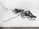 2018 Toyota C-hr Engine Room Fuse Box Wiring Harness 82111-F4611. Fixed Price $558.60.