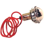 License Lamp Assembly 1953-83 Studebaker, Various Models 1559770. Fixed Price $25.30.