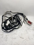 2020 Freightliner Cascadia 126 Chassis Wiring Harness LN2451-ENGINE (555-10878). Fixed Price $350.00.