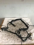 2018 Peterbilt 389 Chassis Wiring Harness D92-6212-001 (555-10297). Fixed Price $515.00.