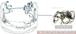 Engine Room Harness Oem 2018 Honda Accord. Fixed Price $200.00.