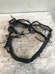 2016 Peterbilt 389 Chassis Wiring Harness P929360001 (555-10269). Fixed Price $618.00.