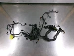 17 - 18 Hyundai Elantra Engine Wire Wiring Harness. Fixed Price $139.95.